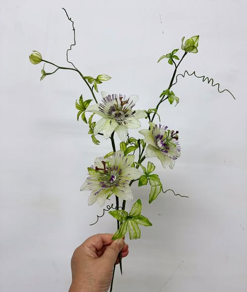 研習班(2)課程作品 01｜時計草
