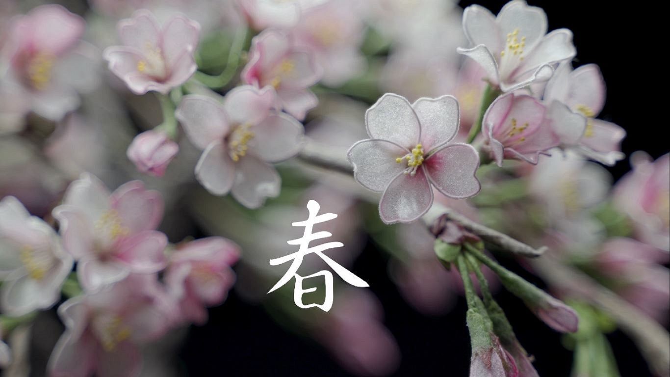 工藝盆栽作品 - 櫻花｜工藝盆栽藝術