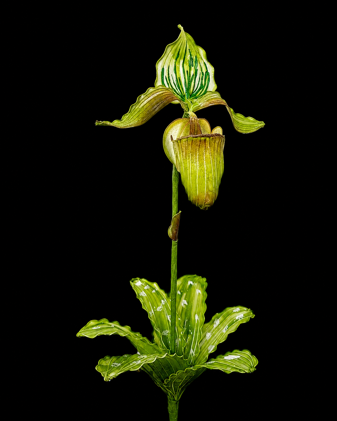 高級班課程參考作品