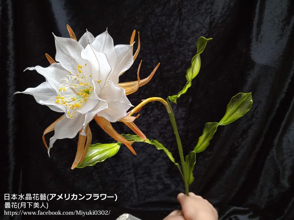 日本水晶花藝 - 曇花(月下美人)｜日本水晶花藝